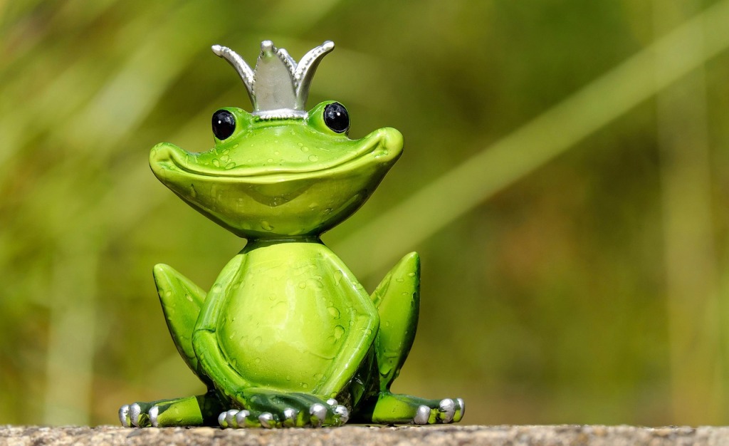 I Am A Frog: (A Poem)